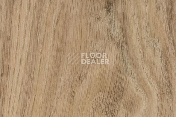Виниловая плитка ПВХ FORBO Allura Flex Wood 60300FL1-60300FL5 central oak фото 1 | FLOORDEALER